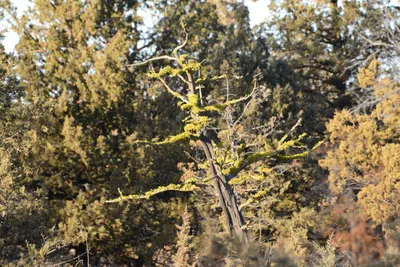 DSC_3027 (Large).JPG